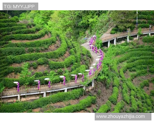 茶文化与茶艺的融合探索:从茶行为中心看茶的传统与创新发展 茶文化与茶艺的融合探索:从茶行为中心看茶的传统与创新发展