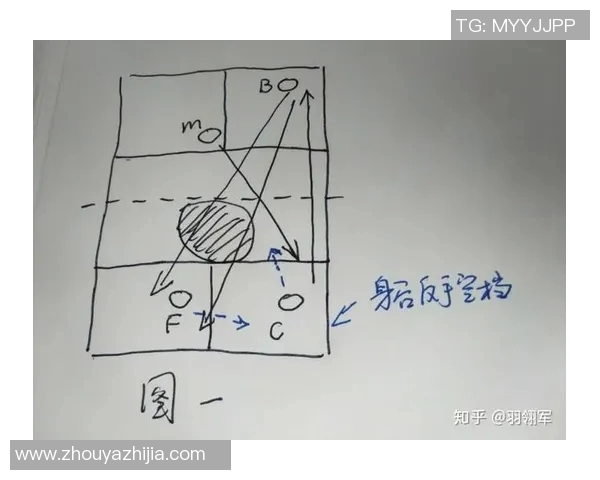 上海羽毛球队整体压制打法深度分析与战术解析